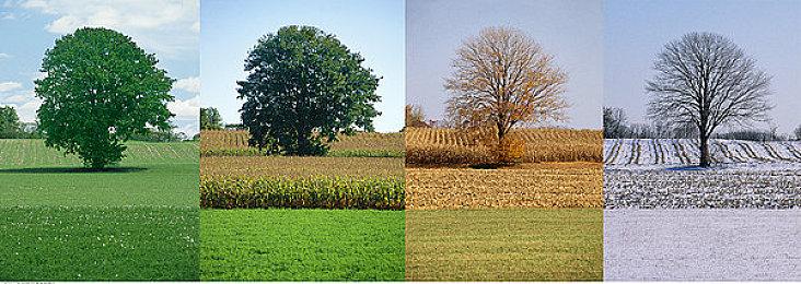 id Software员工超过300人 正开发新作