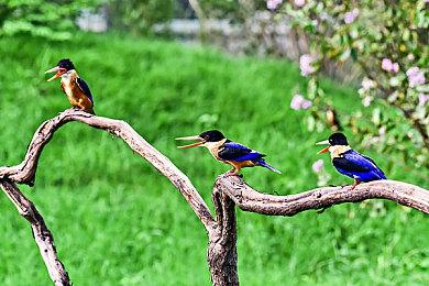 Steam最新一周销量榜 《龙之信条2》上榜《绝地潜兵2》五连冠